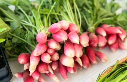 Farmer's Market