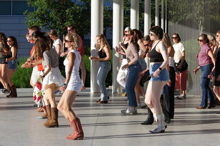 Wildflower-Dance-Co