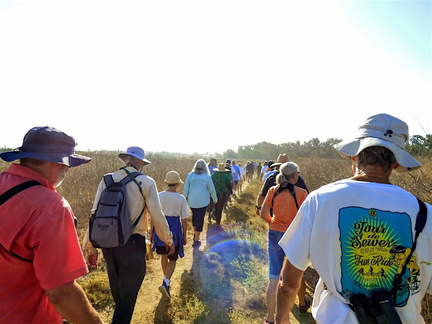 Los Cerritos Wetlands Nature Walk - Raptor Ramble