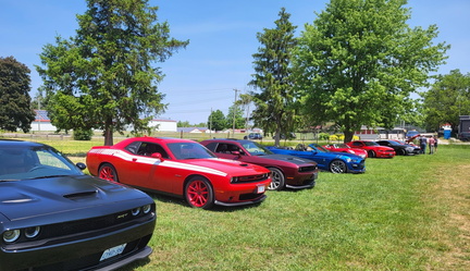 Kitty's Mustang Day
