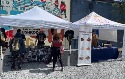 Atlanta Mushroom Market
