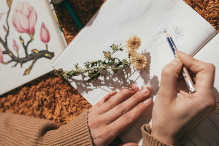 Drawing in the Garden
