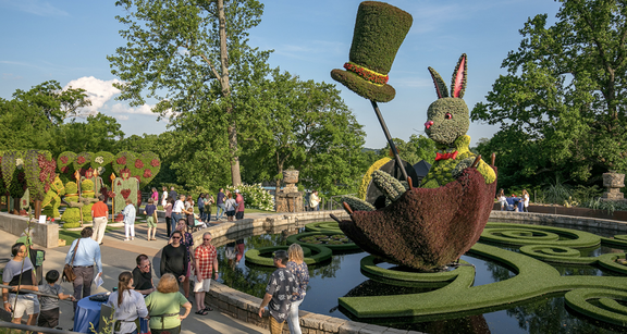 Cocktails in Wonderland