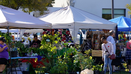 Farmers &amp; Artisans Market