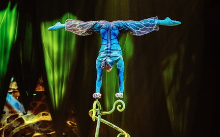 Cirque du Soleil: OVO