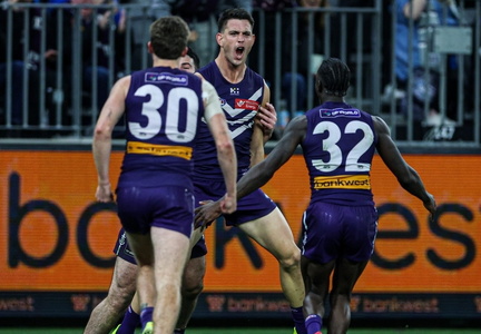 Fremantle Dockers vs. Hawthorn Hawks