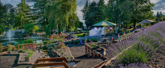 18th Annual Helvetia Lavender Festival
