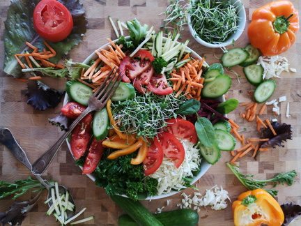 vegan picnic
