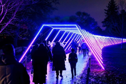 Lightscape