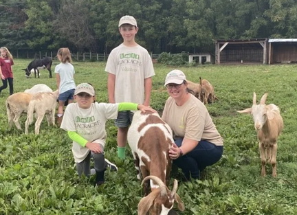 Farm Animal Feeding