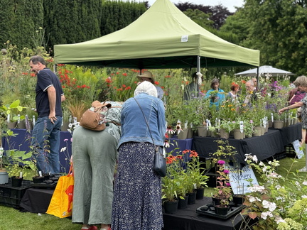 Rare Plant Fair Winterbourne