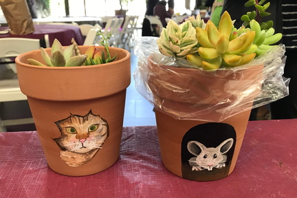 Painted Terracotta Pots with Succulents - Bowers Museum
