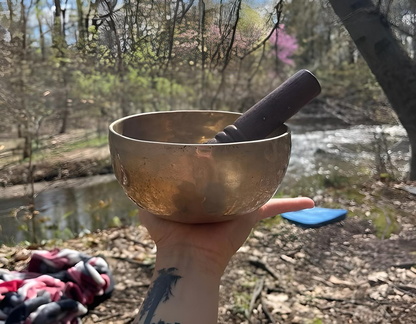 Forest Bathing Workshop