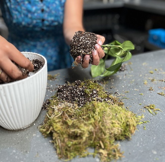 The Art of Moss Workshop Kokedama