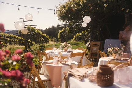 Sip, Savor & Celebrate - A Taste of the Mediterranean