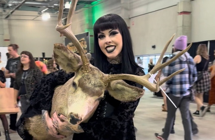 Detroit Oddities &amp; Curiosities Expo