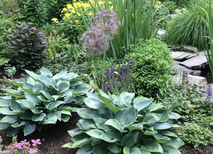 Buzz Around Hamburg Garden Walk