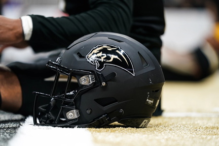 Bay Area Panthers