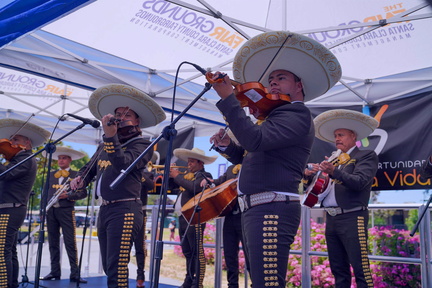 Silicon Valley Mariachi Festival