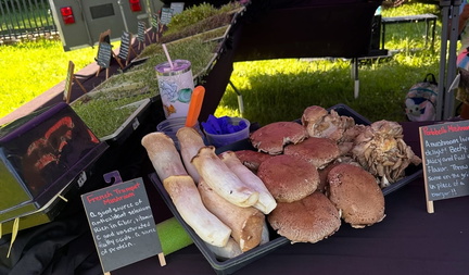 Farmers Markets
