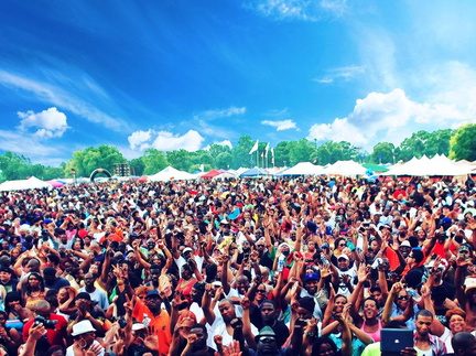 Chosen Few &amp; Picnic Festival