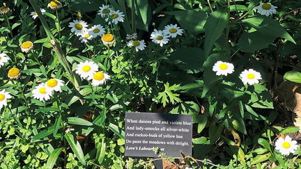 Special Focus Tour - Shakespeare's Garden Tour