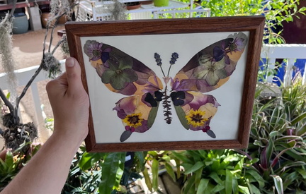 Botanical Butterfly Workshop