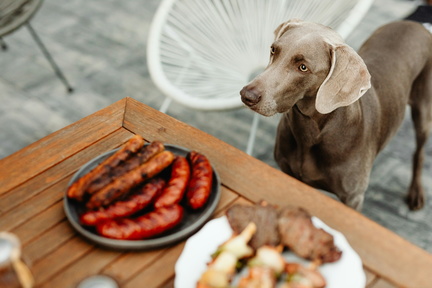 Barks &amp; BBQ