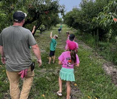 Kalawi Peach Farm Tour