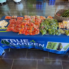 Farmers Market at True Garden