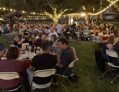 Italian Nights Dinner &amp; Show