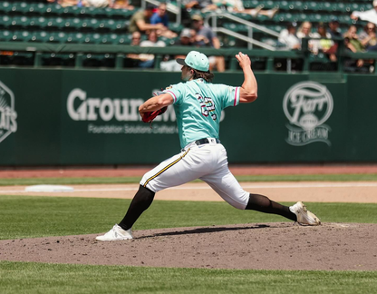 Salt Lake Bees