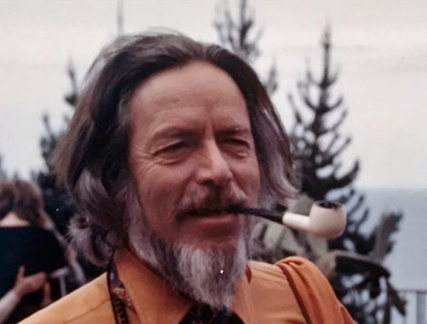 Trust the Universe The Philosophy of Alan Watts (2)