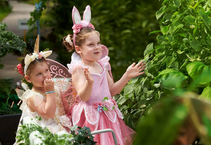 The Enchanted Garden