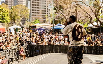 Black on the Block Detroit Festival