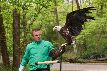 BIrd Walk