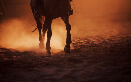 rodeo