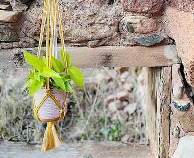 Braided Plant Hanger - The Living Room