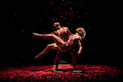 Heinz Poll x Pilobolus