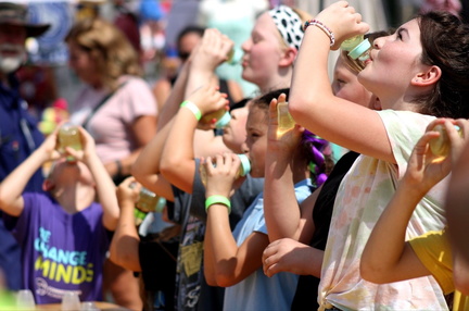 Pickle Festival