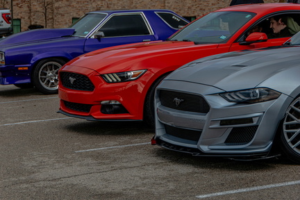 mustang show