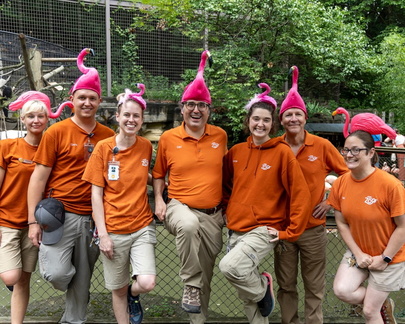 Pink Flamingo Day
