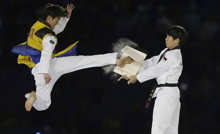 World Taekwondo Hanmadang
