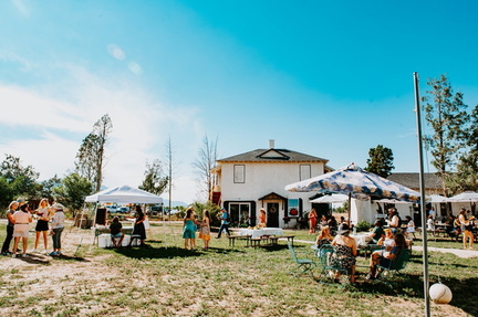 Music &amp; Blooms
