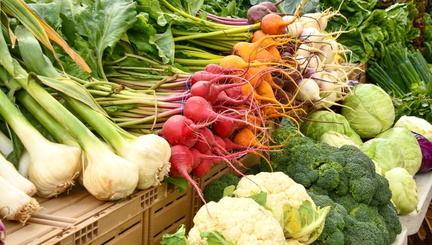 Hollywood Farmers Market