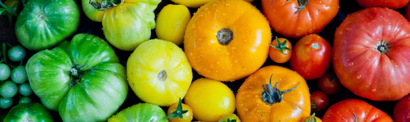 Gatlinburgs' Farmers Market