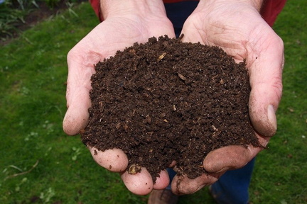 Yard Waste