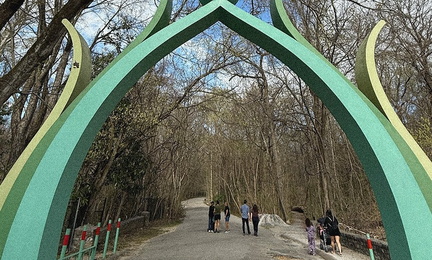 Saturday Walks with Artists