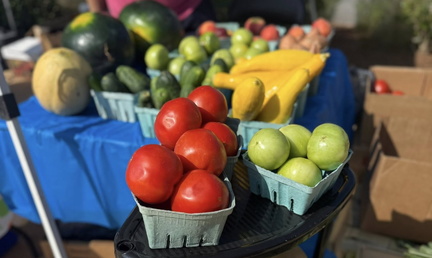 Springvilles Market