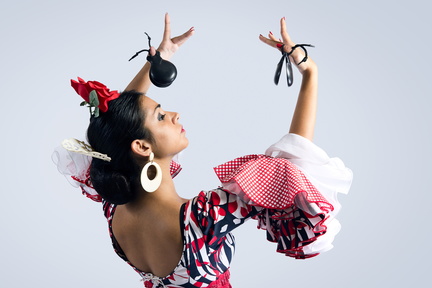 flamenco